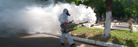 Fumigación y Control de plagas
